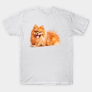 Cute Red Pomeranian T-Shirt